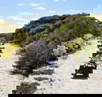 Quad Bike ATV Tours - Accommodation Mermaid Beach