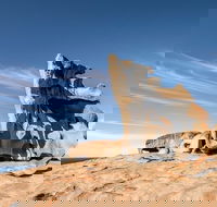 Kangaroo Island Luxury Small Group 'Flinders Chase Focus' Full Day Tour - Accommodation Mermaid Beach