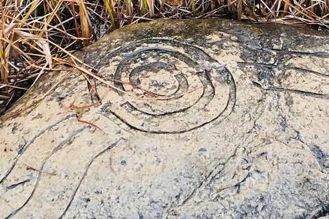 Adelaide Cultural Safari - Private Charters - Accommodation Mermaid Beach 2