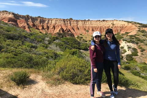 Adelaide Driving Tour - Accommodation Mermaid Beach 5