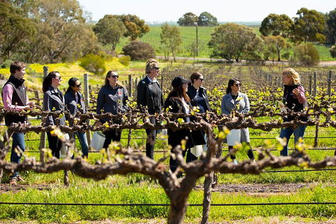 Walk, Taste, Graze - Experience At Pindarie - Accommodation Mermaid Beach 2