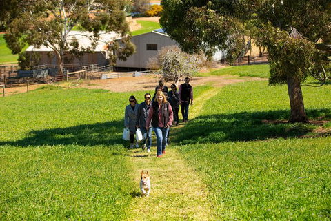 Walk, Taste, Graze - Experience At Pindarie - Accommodation Mermaid Beach 7