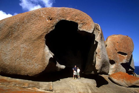 Full-Day Kangaroo Island Safari From Penneshaw - Accommodation Mermaid Beach 0