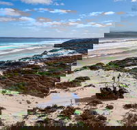 Small-Group Buggy Tour at Little Sahara with Guide - Accommodation Mermaid Beach