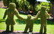 Cruise Ship Special From Burnie To Cradle Mountain - thumb 1
