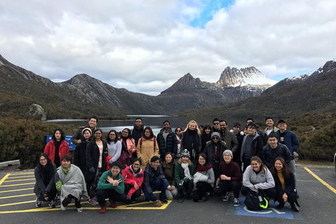 Shore Excursion - Cradle Mountain Day Tour From Burnie - Accommodation Mermaid Beach 4