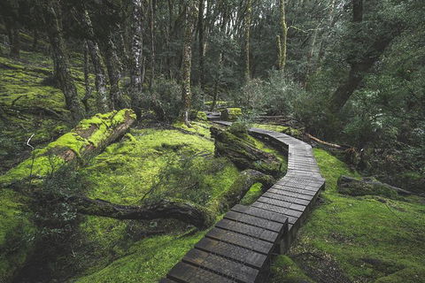 Shore Excursion - Cradle Mountain Day Tour From Burnie - Accommodation Mermaid Beach 2