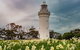 Table Cape Lighthouse Tours - thumb 7