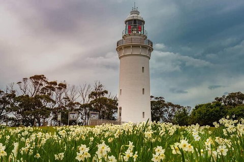 Table Cape Lighthouse Tours - Accommodation Mermaid Beach 7
