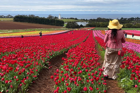 Table Cape Lighthouse Tours - Accommodation Mermaid Beach 0