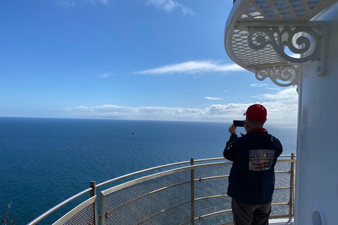 Table Cape Lighthouse Tours - Accommodation Mermaid Beach 5