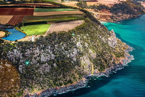 Table Cape Lighthouse Tours - Accommodation Mermaid Beach 9