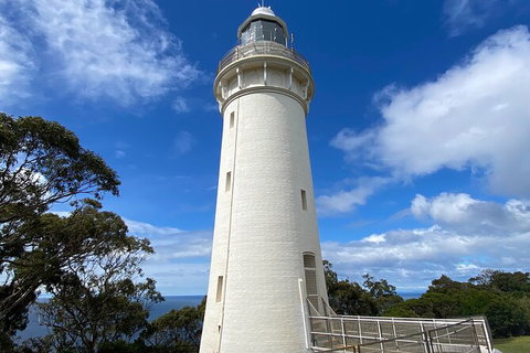Table Cape Lighthouse Tours - Accommodation Mermaid Beach 4