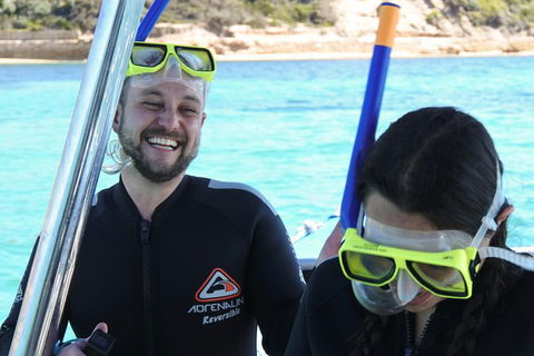 Dolphin And Seal Swim Reef Snorkel Boat Tour Mornington Peninsula - Accommodation Mermaid Beach 17