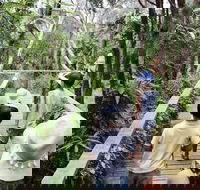 Boneo Maze General Entry Ticket - Accommodation Mermaid Beach