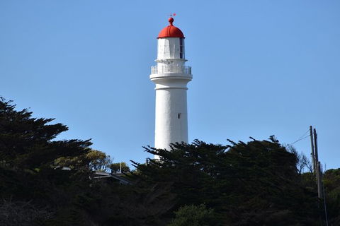 Great Ocean Road Tour Plus Koalas, Forest Walk And Morning Tea. - Accommodation Mermaid Beach 1