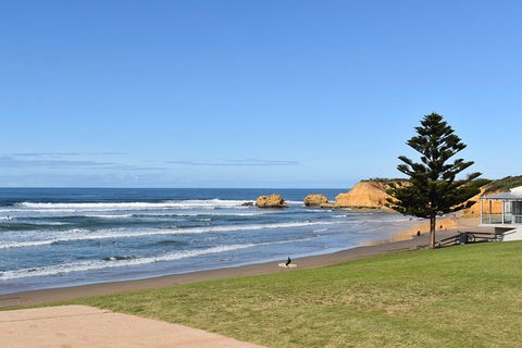Great Ocean Road Tour Plus Koalas, Forest Walk And Morning Tea. - Accommodation Mermaid Beach 3