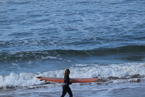 Great Ocean Road Tour Plus Koalas, Forest Walk And Morning Tea. - Accommodation Mermaid Beach 8