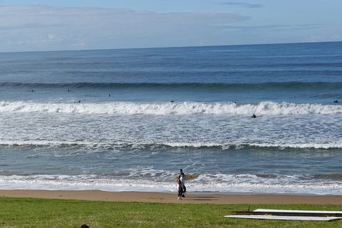 Great Ocean Road Tour Plus Koalas, Forest Walk And Morning Tea. - Accommodation Mermaid Beach 9