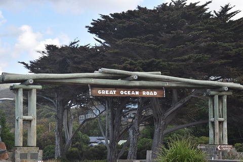 Great Ocean Road Tour Plus Koalas, Forest Walk And Morning Tea. - Accommodation Mermaid Beach 7