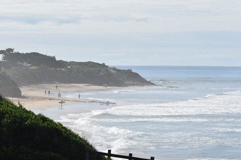 Great Ocean Road Tour Plus Koalas, Forest Walk And Morning Tea. - Accommodation Mermaid Beach 10