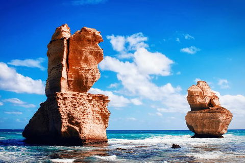Great Ocean Road Tour Plus Koalas, Forest Walk And Morning Tea. - Accommodation Mermaid Beach 11