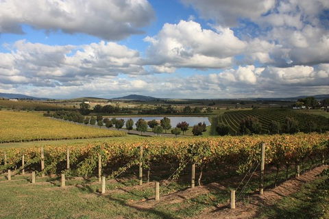 LGBT+ Friendly Full Day Yarra Valley & Dandenong Ranges Private Tour - Accommodation Mermaid Beach 0