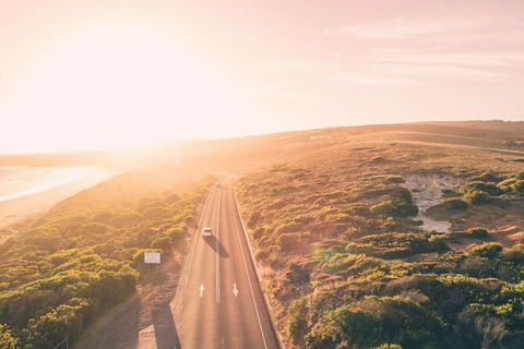 LGBT+ Friendly 2 Day Private Great Ocean Road Tour - Accommodation Mermaid Beach 1