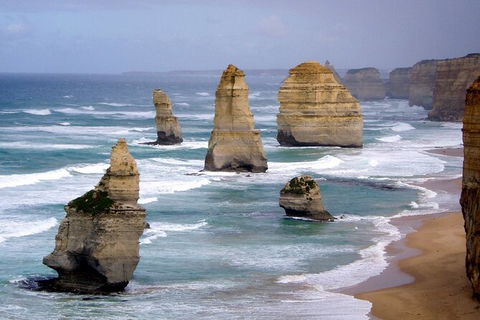 LGBT+ Friendly 2 Day Private Tour Great Ocean Road + Phillip Island - Accommodation Mermaid Beach 0