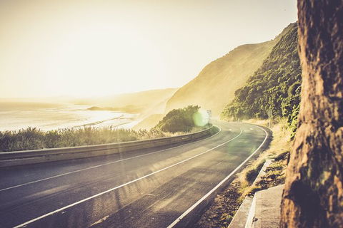 LGBT+ Friendly 2 Day Private Tour Great Ocean Road + Phillip Island - Accommodation Mermaid Beach 3