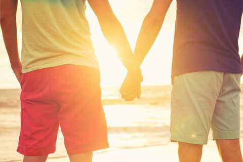LGBT+ Friendly 2 Day Private Tour Great Ocean Road + Phillip Island - Accommodation Mermaid Beach 2