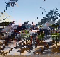 Fully guided E-Mountain Bike Tour on the beautiful Mornington Peninsula. - Accommodation Mermaid Beach