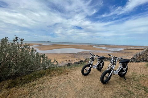 E-Bike Hire Super Cruzer In Phillip Island - Accommodation Mermaid Beach 3