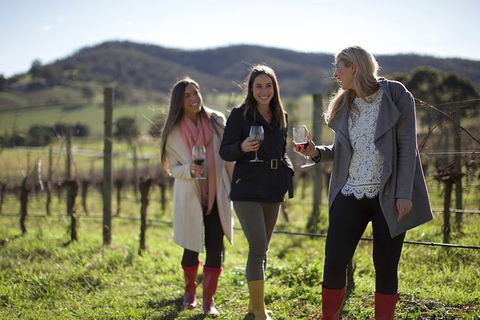 Yarra Valley 2-6 Guests Premium Food And Wine Inc Lunch At Dominique Portet - Accommodation Mermaid Beach 6