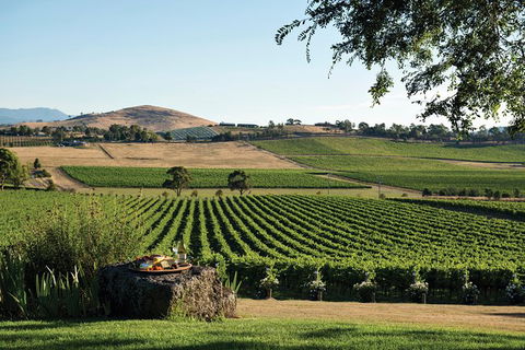 Yarra Valley 2-6 Guests Premium Food And Wine Inc Lunch At Dominique Portet - Accommodation Mermaid Beach 1