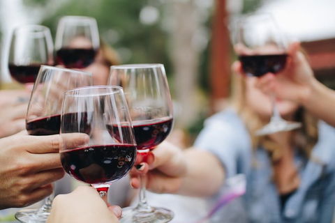 Yarra Valley Premium Tour Inc Lunch And Cheese And Wine Pairing At De Bortoli - Accommodation Mermaid Beach 3