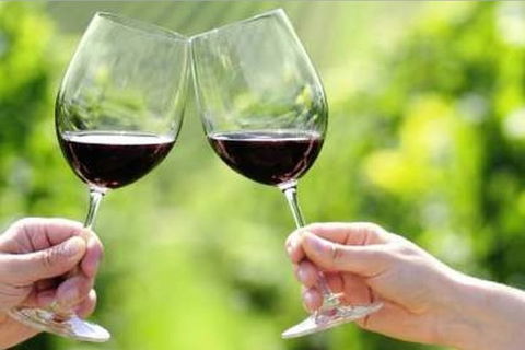 Yarra Valley Premium Tour Inc Lunch And Cheese And Wine Pairing At De Bortoli - Accommodation Mermaid Beach 4