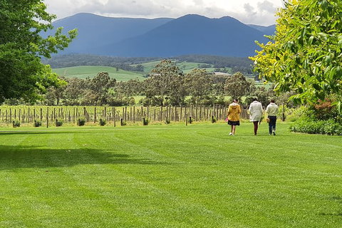 Yarra Valley Wine Tasting Day Tour From Melbourne - Accommodation Mermaid Beach 6