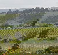 Yarra Valley Wine Tasting Day Tour from Melbourne - Accommodation Mermaid Beach