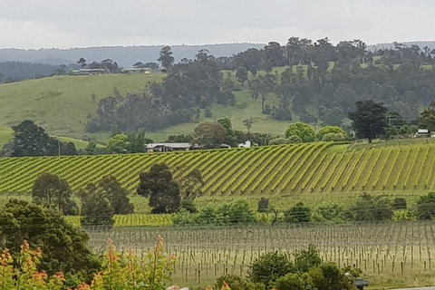 Yarra Valley Wine Tasting Day Tour From Melbourne - Accommodation Mermaid Beach 0