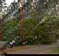 Full-Day Dandenong Ranges Tour with Pickup from Melbourne - Accommodation Mermaid Beach