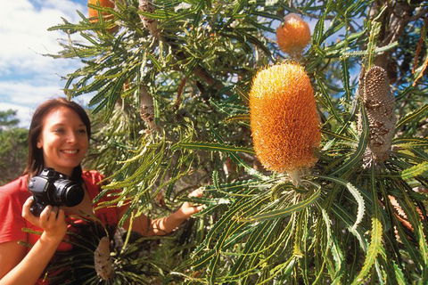 Best Of Perth Wildflower Season Day Trip - Accommodation Mermaid Beach 0