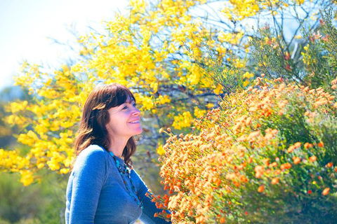 Best Of Perth Wildflower Season Day Trip - Accommodation Mermaid Beach 3
