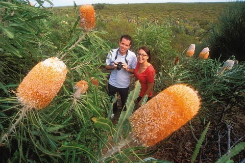 Best Of Perth Wildflower Season Day Trip - Accommodation Mermaid Beach 6