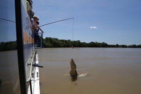 Darwin City Sights And Jumping Crocodile Cruise - Accommodation Mermaid Beach 2