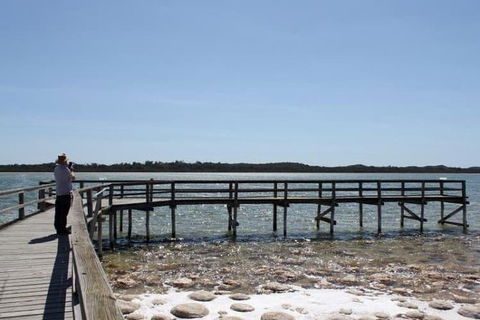 Busselton And Scenic Drive Full Day Tour - Accommodation Mermaid Beach 5