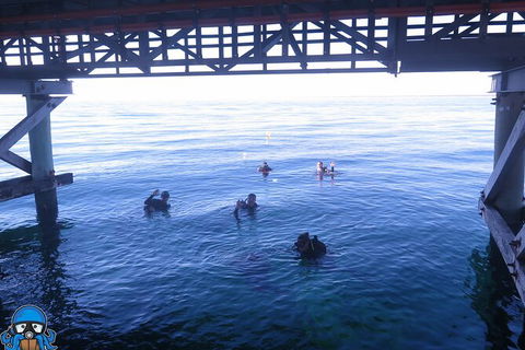 PADI Open Water Course - Accommodation Mermaid Beach 3