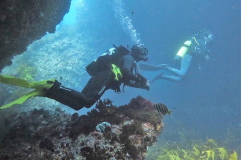 PADI Open Water Course - Accommodation Mermaid Beach 2