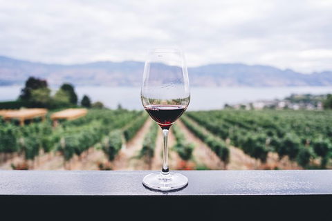 Full-Day Gourmet Wine Tour With Pick Up And Lunch - Accommodation Mermaid Beach 1