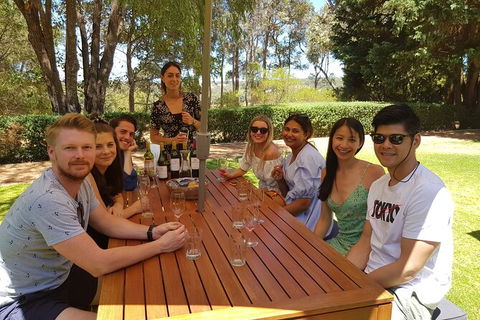 Full-Day Gourmet Wine Tour With Pick Up And Lunch - Accommodation Mermaid Beach 5